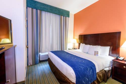 Imagen de la habitación del Hotel Best Western Dothan Inn and Suites. Foto 4