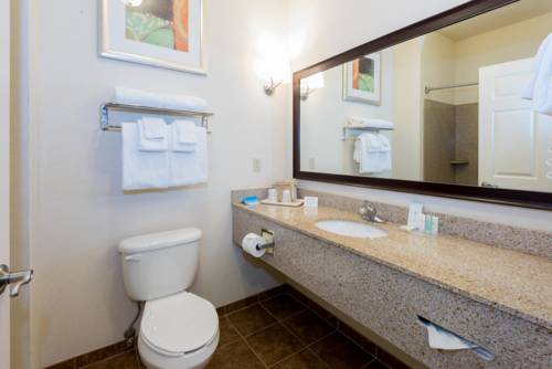 Imagen de la habitación del Hotel Best Western Dothan Inn and Suites. Foto 8