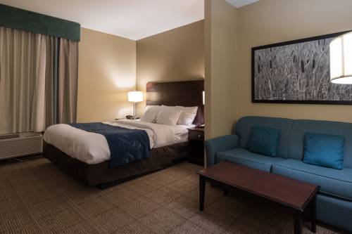 Imagen de la habitación del Hotel Best Western Dothan Inn and Suites. Foto 9