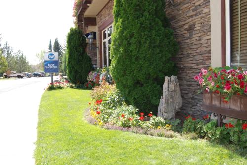 Imagen general del Hotel Best Western Driftwood Inn. Foto 2