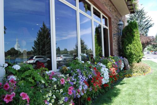 Imagen general del Hotel Best Western Driftwood Inn. Foto 3