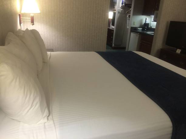 Imagen de la habitación del Hotel Best Western Elkhart Inn and Suites. Foto 4
