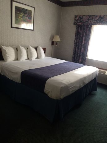 Imagen de la habitación del Hotel Best Western Elkhart Inn and Suites. Foto 13