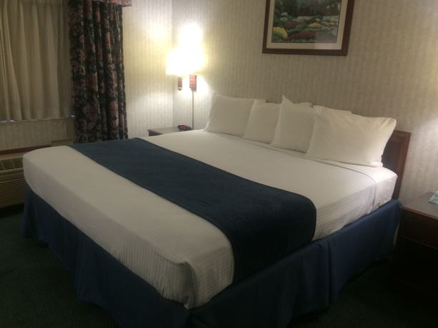 Imagen de la habitación del Hotel Best Western Elkhart Inn and Suites. Foto 14