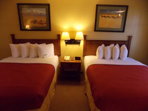 Imagen general del Hotel Best Western Executive Inn. Foto 1