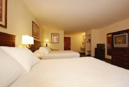 Imagen de la habitación del Hotel Best Western Executive Inn Jacksonville. Foto 9