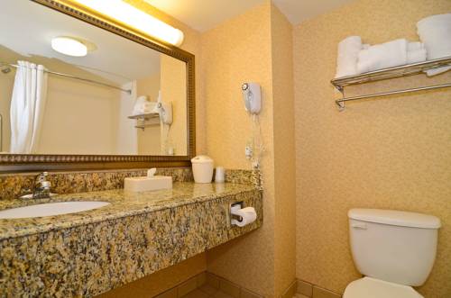 Imagen de la habitación del Hotel Best Western Executive Inn and Suites, Grand Rapids. Foto 6