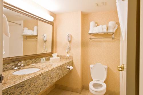 Imagen de la habitación del Hotel Best Western Executive Inn and Suites, Grand Rapids. Foto 13