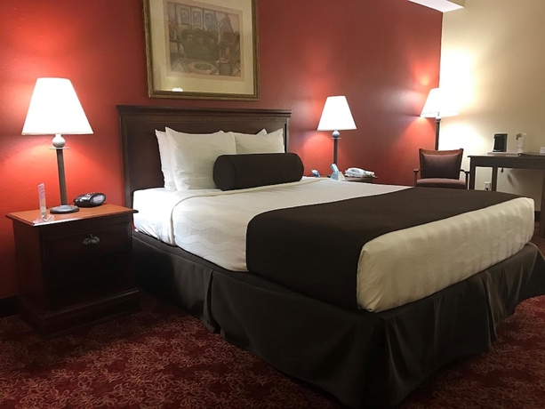 Imagen de la habitación del Hotel Best Western Fort Lauderdale Airport/Cruise Port. Foto 4