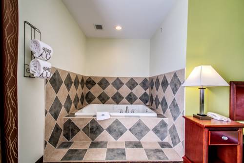 Imagen de la habitación del Hotel Best Western Geneseo Inn. Foto 9