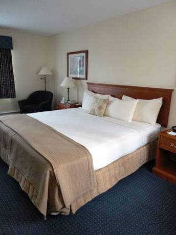 Imagen de la habitación del Hotel Best Western Glengarry. Foto 4