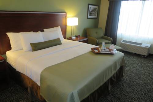 Imagen de la habitación del Hotel Best Western Glenview Inn-Chicagoland Inn and Suites. Foto 8