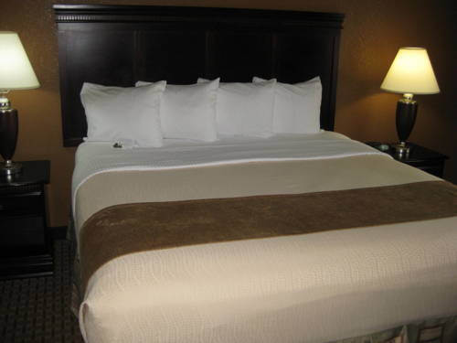Imagen de la habitación del Hotel Best Western Granbury Inn and Suites. Foto 9