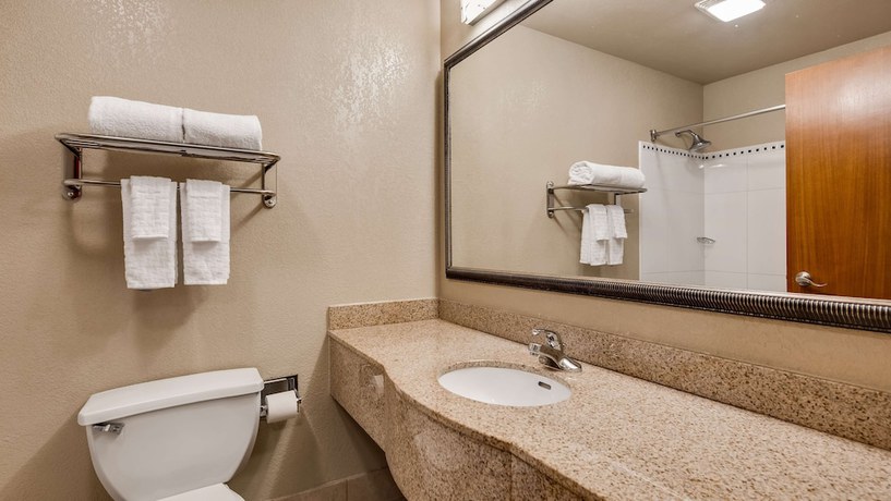 Imagen de la habitación del Hotel Best Western Gwinnett Center. Foto 14