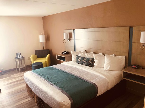 Imagen de la habitación del Hotel Best Western Hampton Coliseum Inn. Foto 11