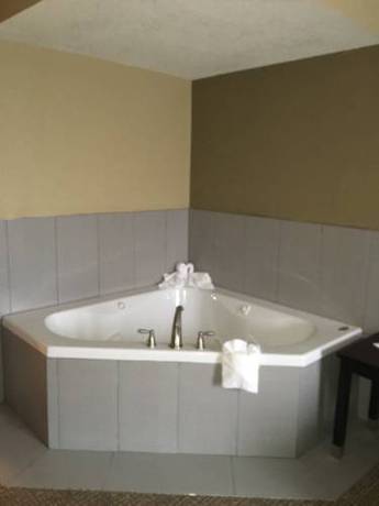 Imagen de la habitación del Hotel Best Western Harrisburg North. Foto 2
