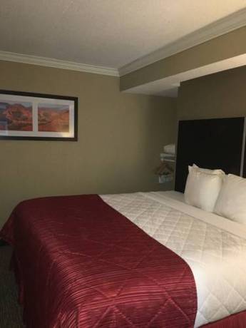 Imagen de la habitación del Hotel Best Western Harrisburg North. Foto 3
