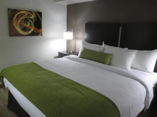 Imagen de la habitación del Hotel Best Western Harvest Inn and Suites. Foto 8