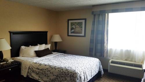 Imagen de la habitación del Hotel Best Western Hazlet Inn. Foto 2