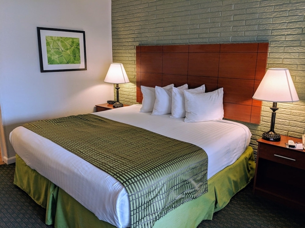 Imagen de la habitación del Hotel Best Western Hendersonville Inn. Foto 3