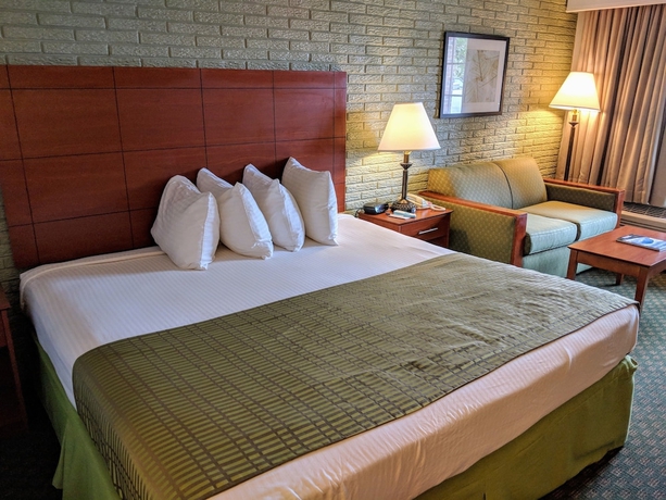 Imagen de la habitación del Hotel Best Western Hendersonville Inn. Foto 7