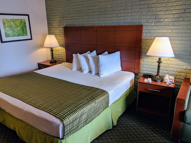 Imagen de la habitación del Hotel Best Western Hendersonville Inn. Foto 13