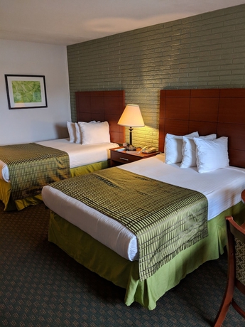 Imagen de la habitación del Hotel Best Western Hendersonville Inn. Foto 15
