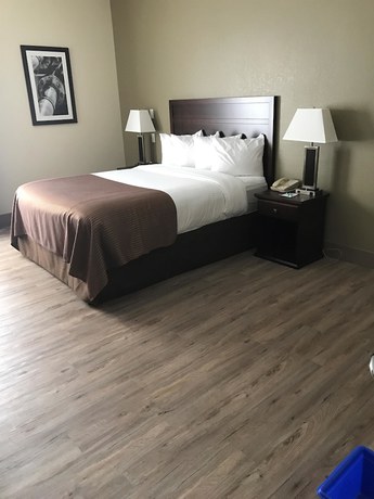 Imagen de la habitación del Hotel Best Western High Road Inn. Foto 2