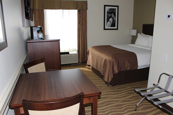 Imagen de la habitación del Hotel Best Western High Road Inn. Foto 7