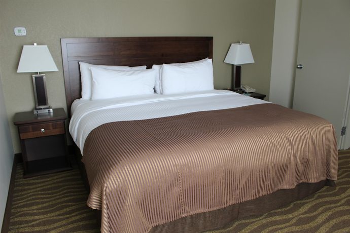 Imagen de la habitación del Hotel Best Western High Road Inn. Foto 16