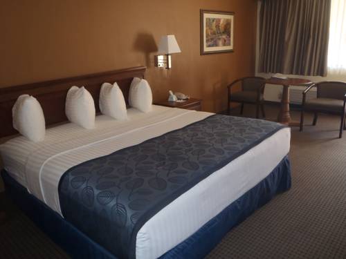 Imagen de la habitación del Hotel Best Western Inn Of Jasper. Foto 3