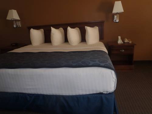 Imagen de la habitación del Hotel Best Western Inn Of Jasper. Foto 8