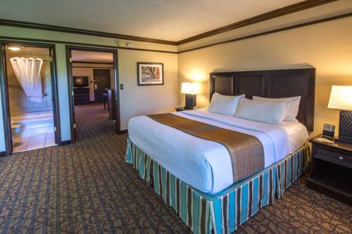 Imagen de la habitación del Hotel Best Western Inn Of The Ozarks. Foto 3