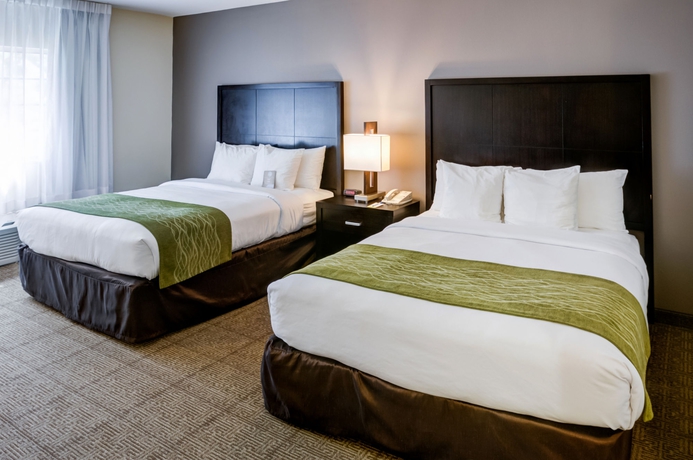 Imagen de la habitación del Hotel Best Western Inn and Suites San Diego &ndash; Zoo/seaworld Area. Foto 13