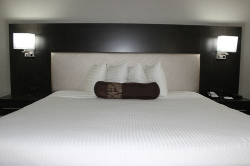 Imagen de la habitación del Hotel Best Western Jacksonville near Little Rock Air Force Base. Foto 11