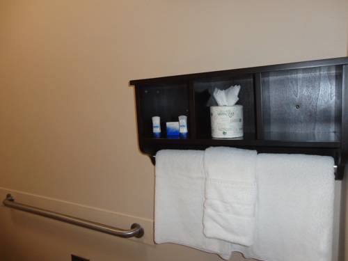 Imagen de la habitación del Hotel Best Western Lake Conroe Inn. Foto 11