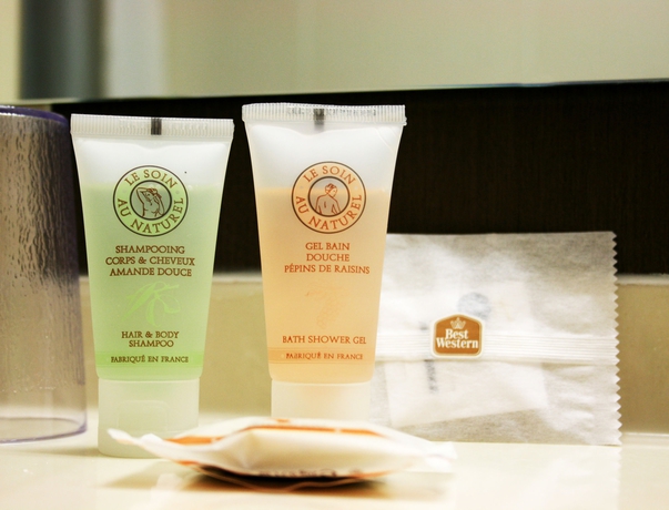 Imagen de la habitación del Hotel Best Western L'atelier 117. Foto 13