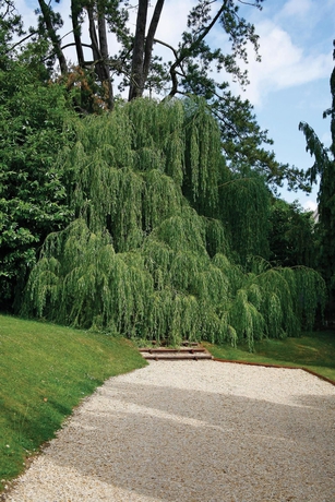 Imagen general del Hotel Best Western Limpley Stoke. Foto 8