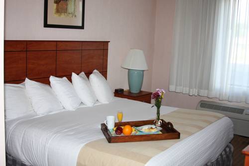 Imagen de la habitación del Hotel Best Western Lock Haven. Foto 3