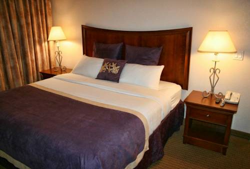 Imagen de la habitación del Hotel Best Western Lubbock West Inn & Suites. Foto 3