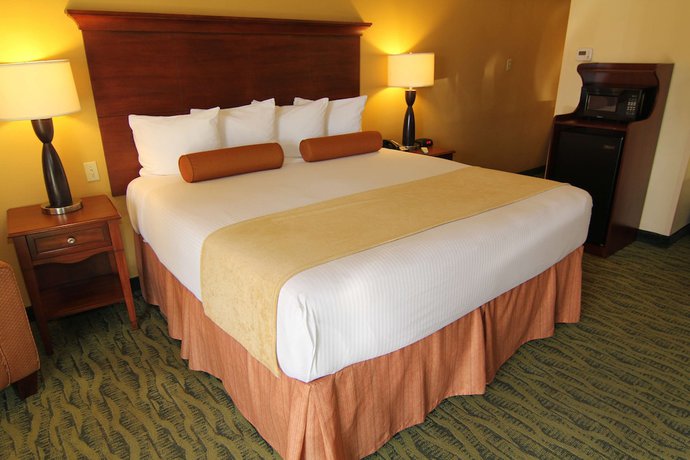 Imagen de la habitación del Hotel Best Western McAllen Medical Center. Foto 12