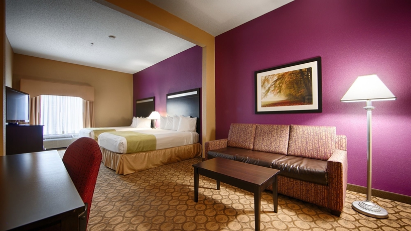 Imagen de la habitación del Hotel Best Western Mcdonough Inn and Suites. Foto 4