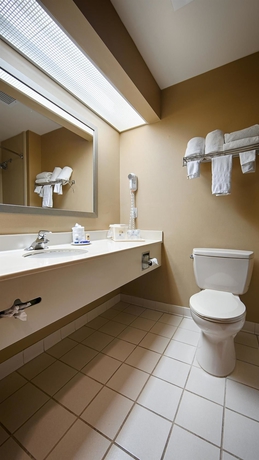 Imagen de la habitación del Hotel Best Western Mcdonough Inn and Suites. Foto 6