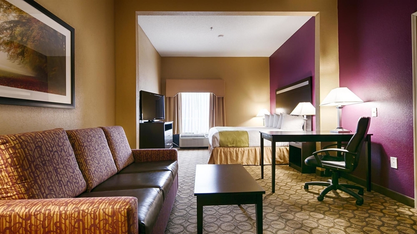 Imagen de la habitación del Hotel Best Western Mcdonough Inn and Suites. Foto 8