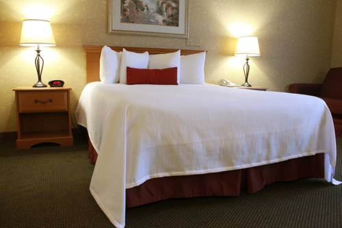 Imagen de la habitación del Hotel Best Western Merrimack Valley. Foto 13