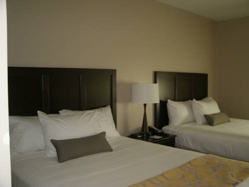 Imagen de la habitación del Hotel Best Western North Bryant Inn San Angelo. Foto 9