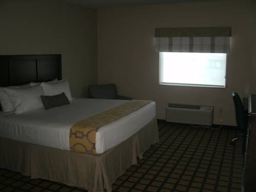 Imagen de la habitación del Hotel Best Western North Bryant Inn San Angelo. Foto 10
