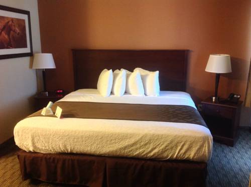 Imagen de la habitación del Hotel Best Western North Edge Inn. Foto 12