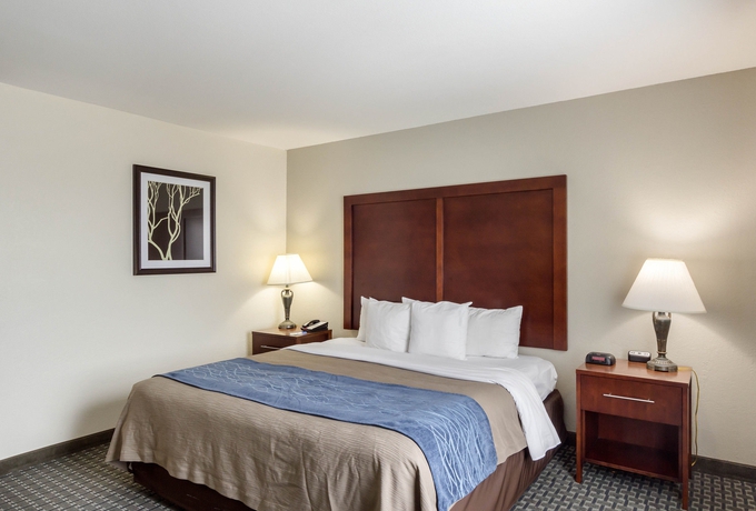 Imagen de la habitación del Hotel Best Western Northwest Corpus Christi Inn and Suites. Foto 9