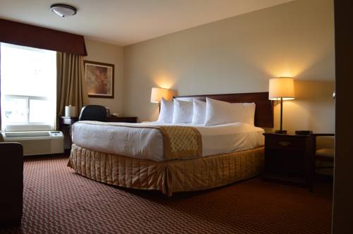 Imagen de la habitación del Hotel Best Western Of Olds. Foto 10